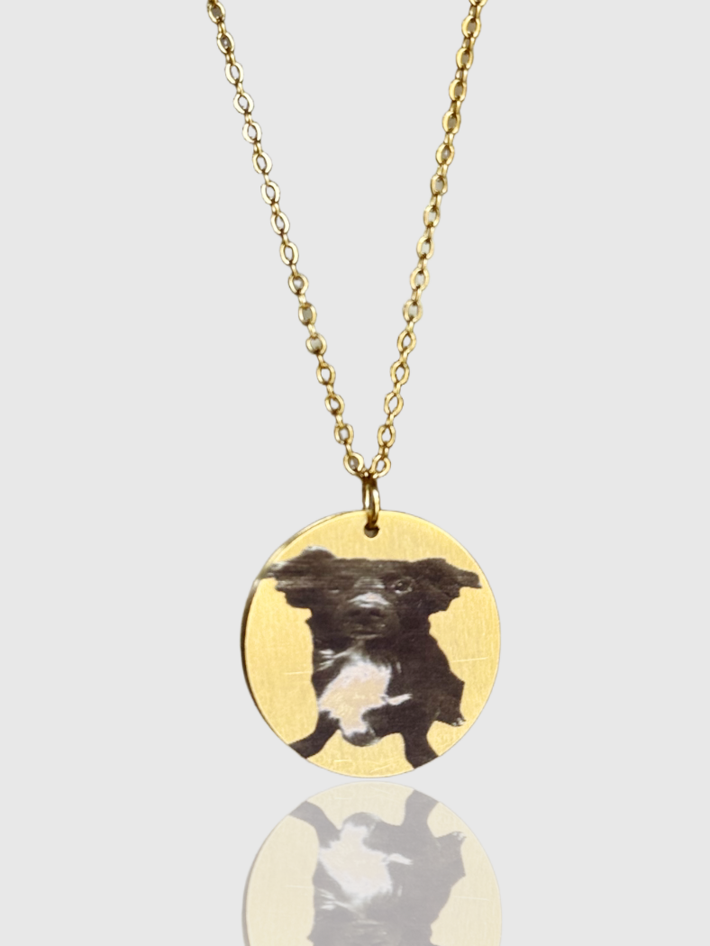 Collana Medaglione (Personalizzata Con Foto)