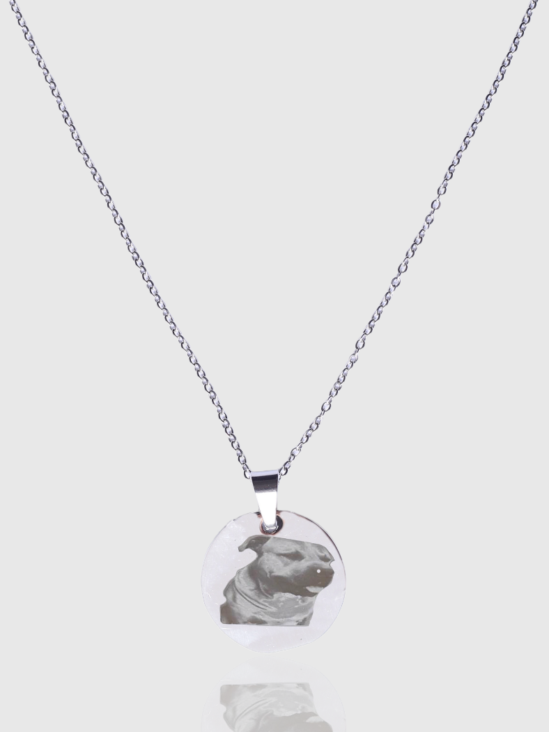 Collana Medaglione (Personalizzata Con Foto)