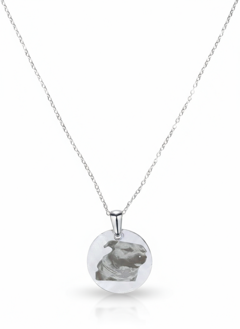 Medallion Necklace (Personalized With Photo)