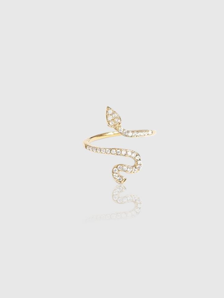 Anello Snake