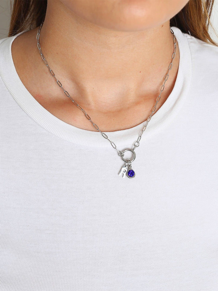 Collana Mese Di Nascita E Lettera (Personalizzata)