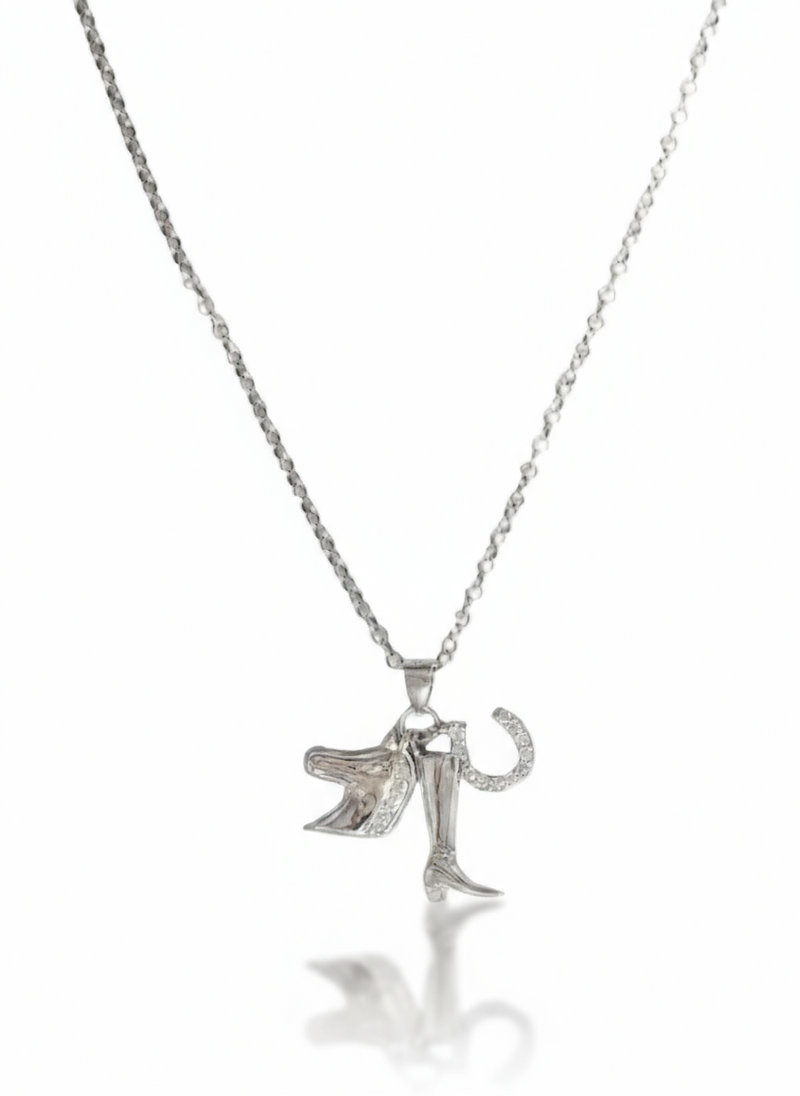 Collana glamorosa in argento 925 della collezione Ranch, con dettagli eleganti e design raffinato, indossata su sfondo neutro