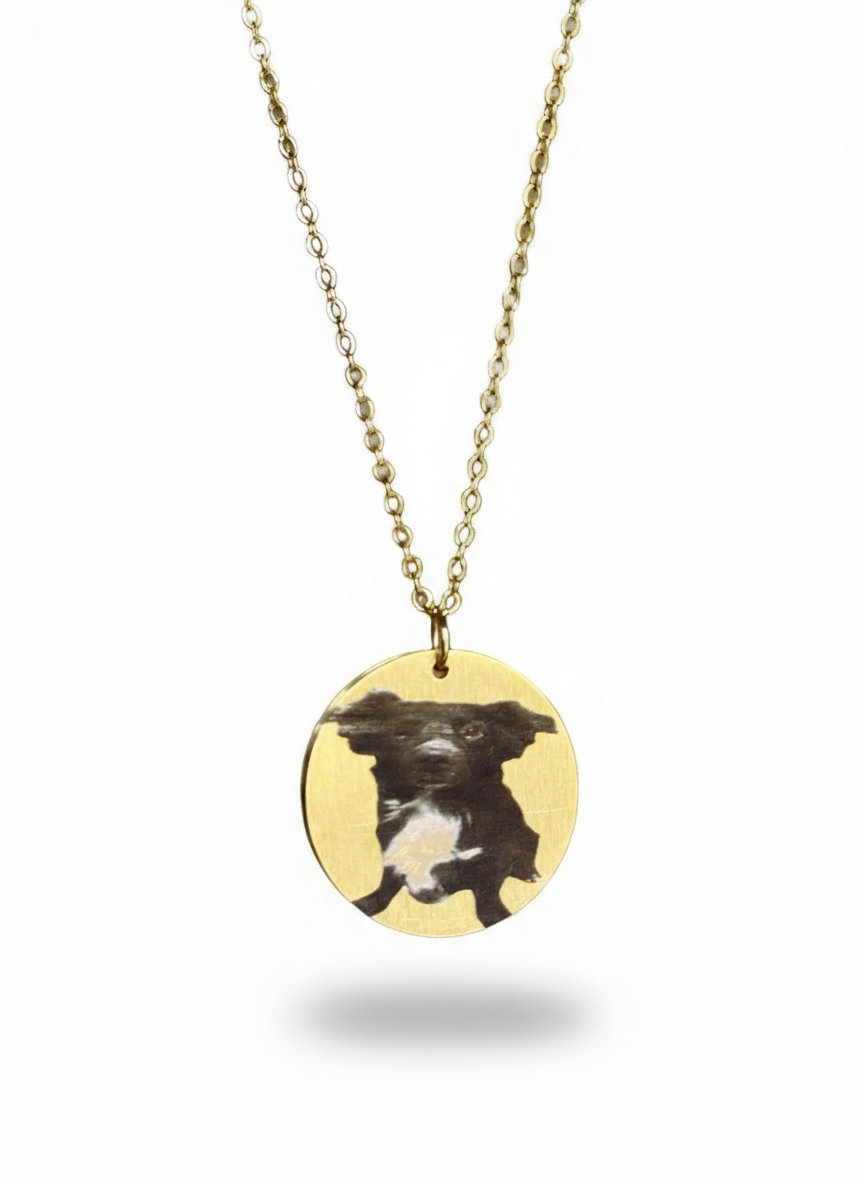 Medallion Necklace (Personalized With Photo)