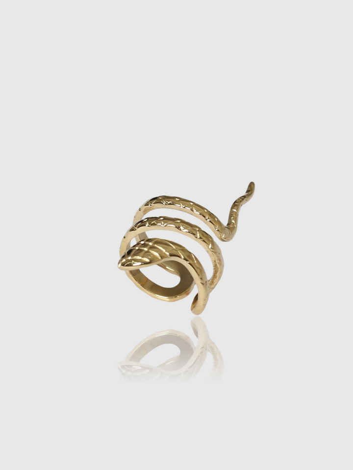Anello Sile